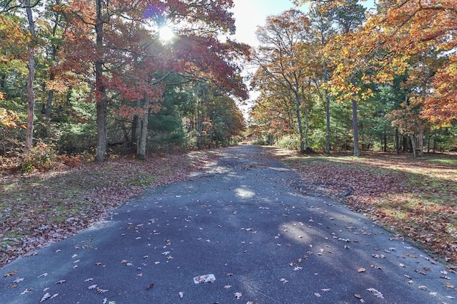 view of road