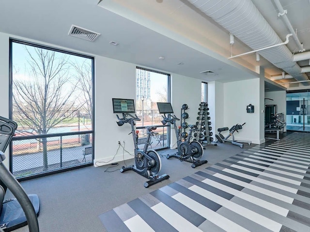 workout area featuring a wall of windows