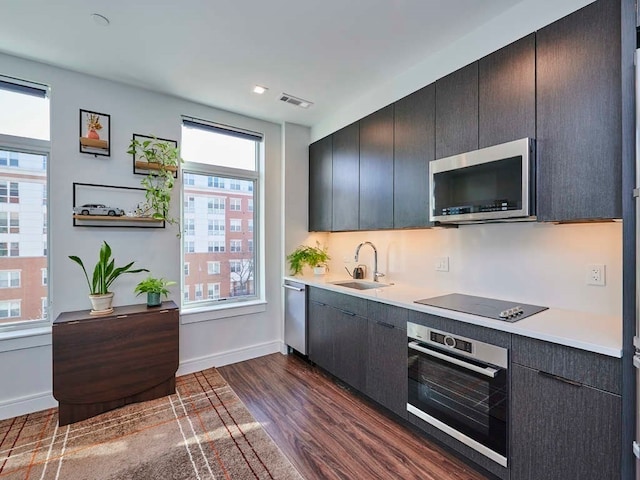 kitchen with dark hardwood / wood-style floors, a healthy amount of sunlight, sink, and stainless steel appliances