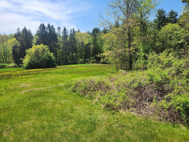 view of landscape with a view of trees