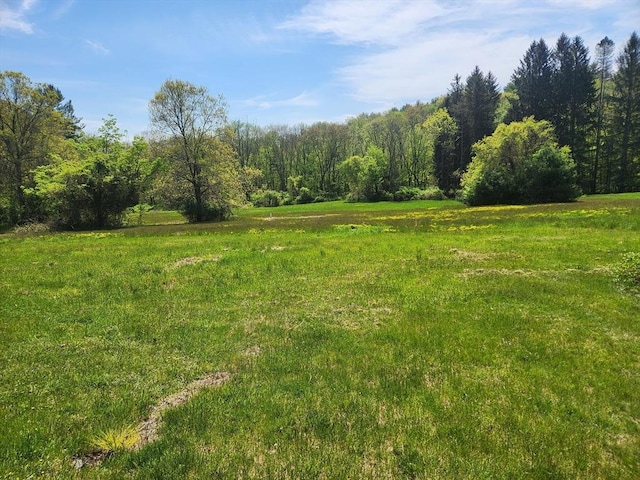 view of landscape with a wooded view