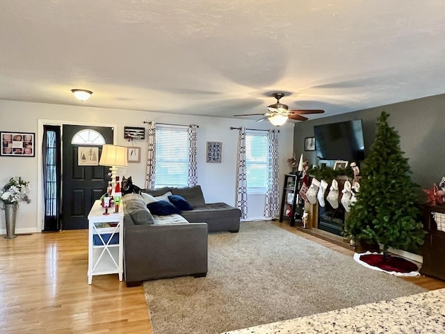 living room with ceiling fan and hardwood / wood-style flooring