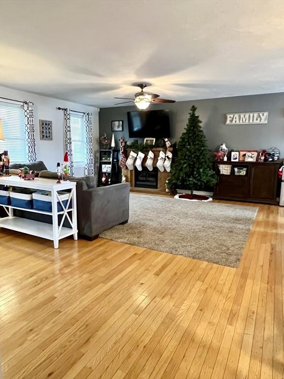 living room featuring ceiling fan and light wood-type flooring