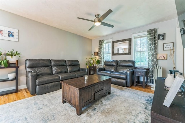 121 Adams Rd, East Brookfield, MA 01515 - living room with light wood finished floors, a ceiling fan, and radiator