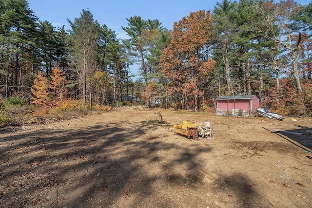 view of yard with a shed