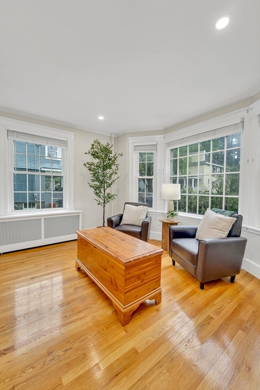 98 Haseltine St, Haverhill, MA 01835 - living area with radiator heating unit, healthy amount of natural light, light wood-style flooring, and recessed lighting