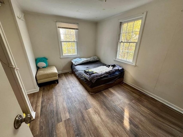 bedroom with dark hardwood / wood-style floors