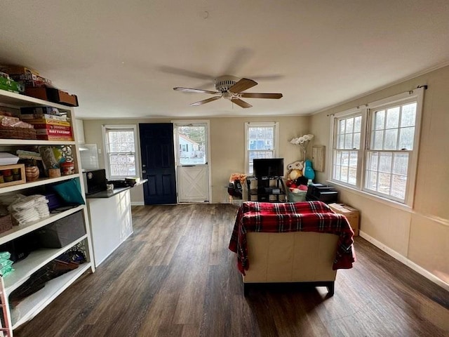 living room with ceiling fan, ornamental molding, plenty of natural light, and dark hardwood / wood-style flooring