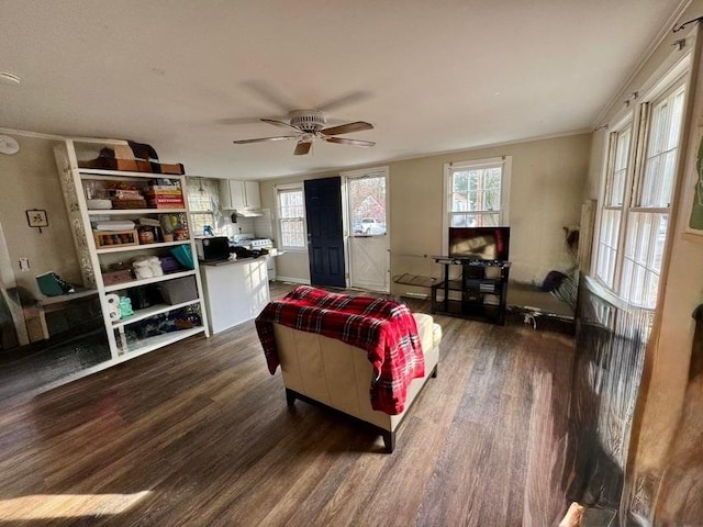 living room featuring dark wood-type flooring, a wealth of natural light, and ceiling fan