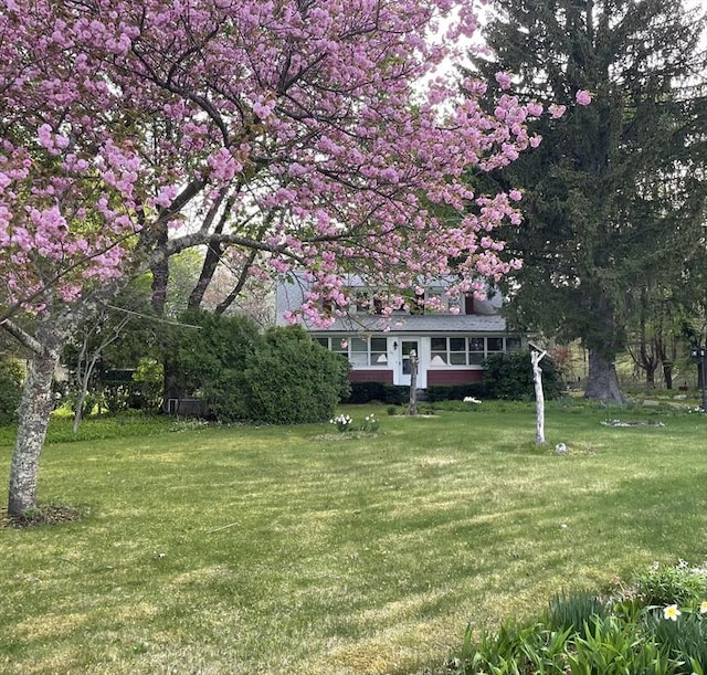 241 Fisher St, Walpole, MA 02081 - view of front of property featuring a front yard