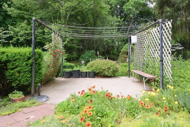 241 Fisher St, Walpole, MA 02081 - surrounding community