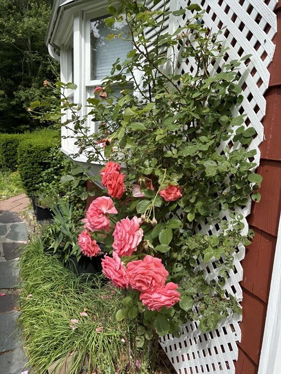 241 Fisher St, Walpole, MA 02081 - exterior view