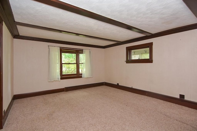 241 Fisher St, Walpole, MA 02081 - spare room featuring carpet, crown molding, beamed ceiling, and a textured ceiling