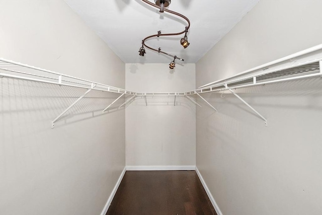 walk in closet with wood finished floors
