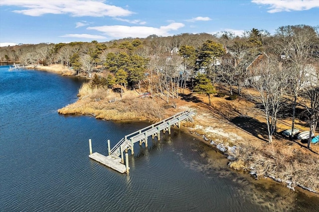 aerial view with a water view and a wooded view