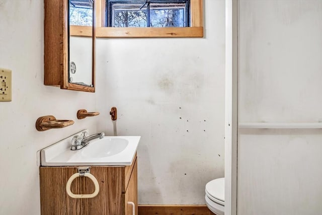 bathroom with toilet and vanity