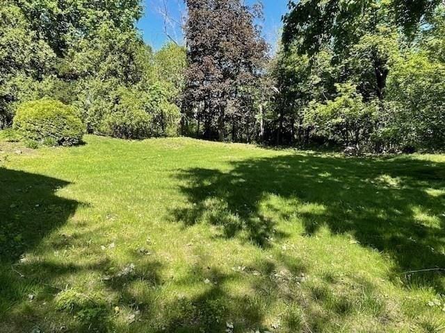 1 Pine Island Rd, Newbury, MA 01951 - view of green lawn
