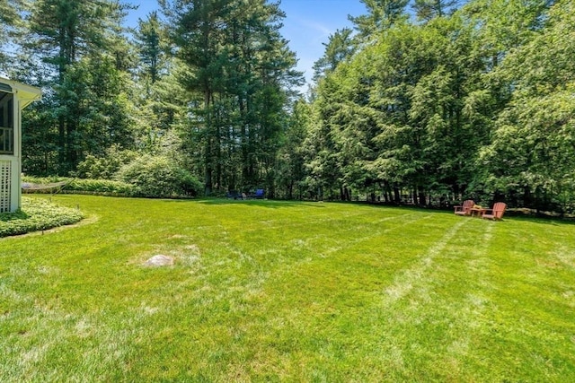141 Morse Rd, Sudbury, MA 01776 - view of green lawn featuring a forest view