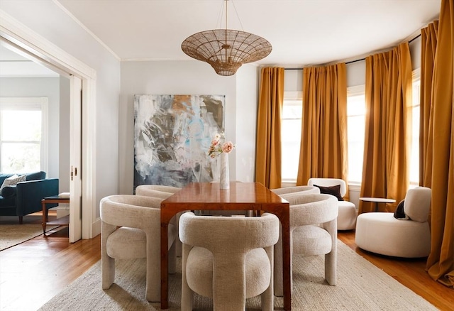 living area featuring hardwood / wood-style floors and a healthy amount of sunlight