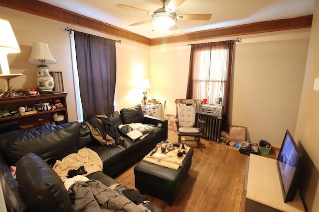 living room with ceiling fan, radiator heating unit, and light hardwood / wood-style flooring