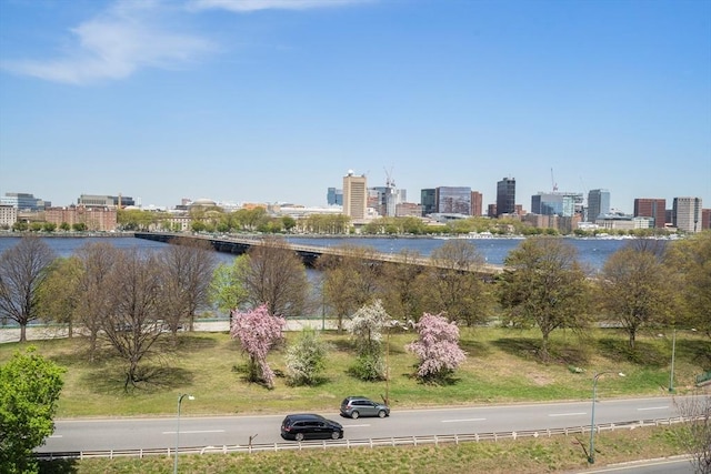 view of water feature featuring a city view