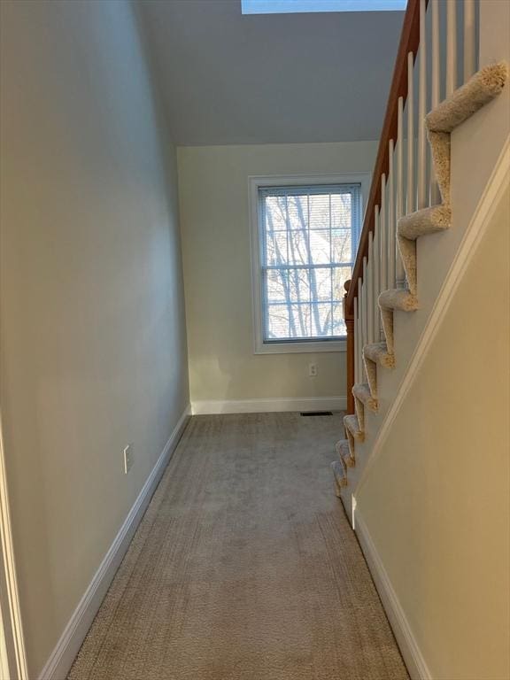 stairs featuring lofted ceiling and carpet floors