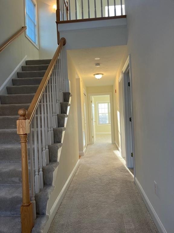 corridor with a high ceiling and carpet floors