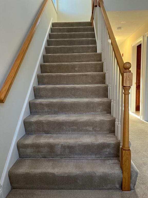 stairs with carpet floors