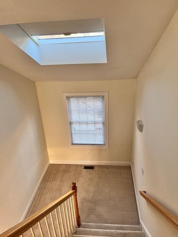 staircase with carpet flooring and a skylight