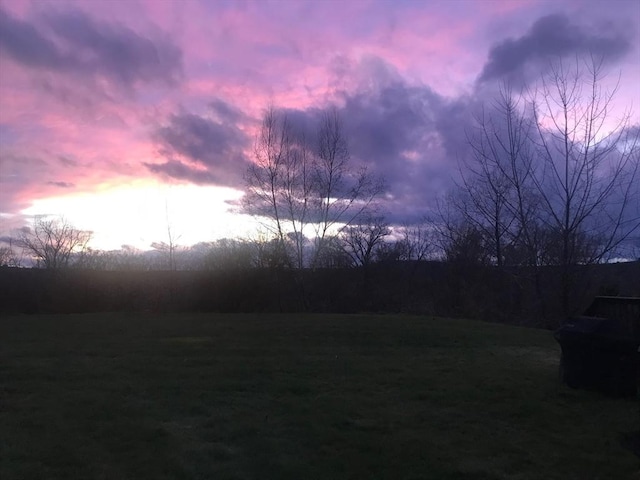 view of yard at dusk