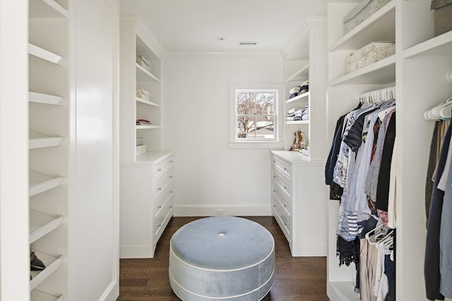 spacious closet with dark hardwood / wood-style flooring