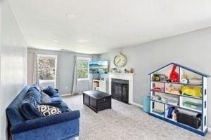 84 E Ave, Lowell, MA 01854 - living room with a fireplace, carpet floors, and baseboards