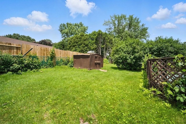 69 Michael St, Ludlow, MA 01056 - view of yard featuring a storage shed