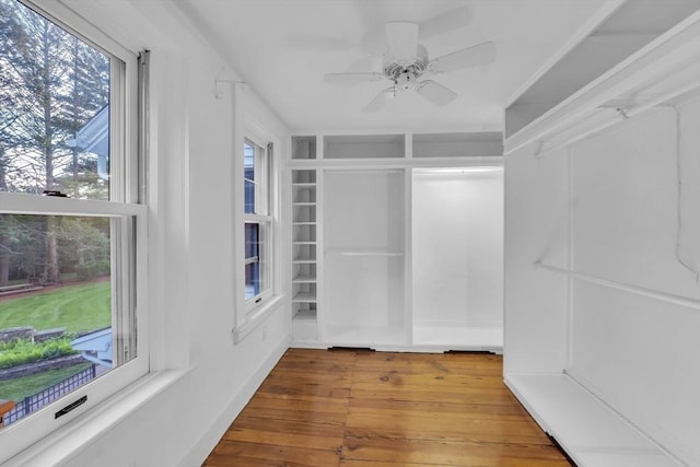 680 Old Connecticut Path, Framingham, MA 01701 - spacious closet with wood-type flooring and ceiling fan
