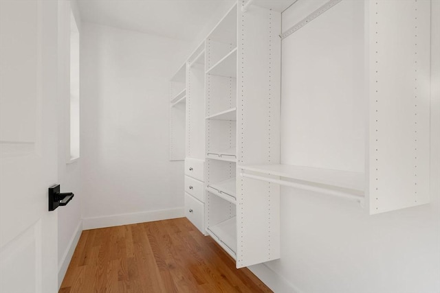 walk in closet featuring wood finished floors