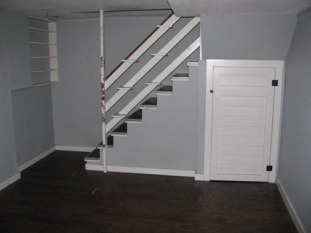 staircase featuring wood-type flooring