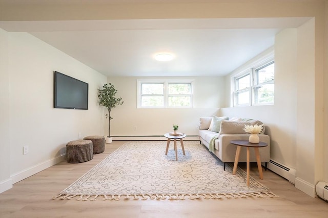 67 Paris Ave, Worcester, MA 01603 - living room with plenty of natural light, light wood-style floors, baseboard heating, and baseboards