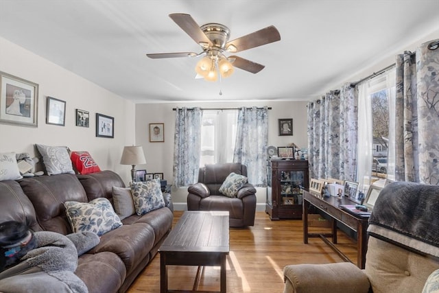 living room featuring plenty of natural light, a ceiling fan, and light wood finished floors