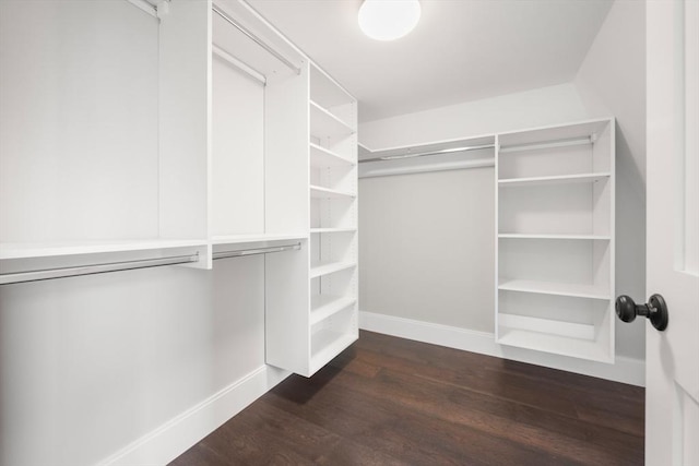 walk in closet with dark wood finished floors