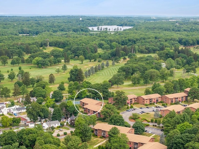 221 Oak St Unit 223, Brockton, MA 02302 - drone / aerial view of a forest and a nearby body of water