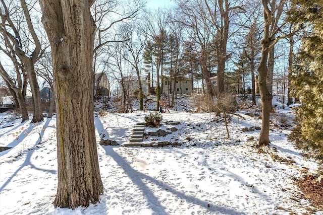 view of yard covered in snow