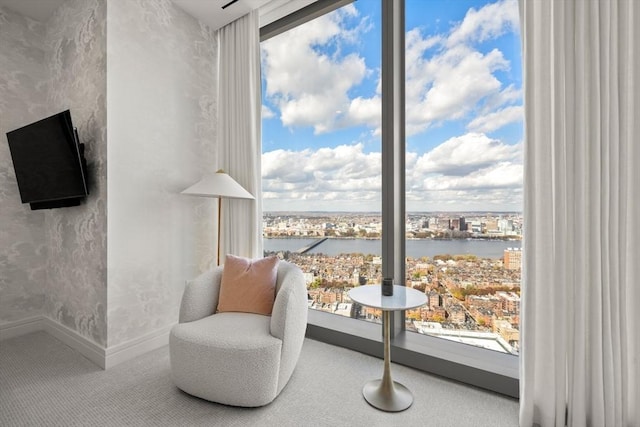 sitting room with a water view