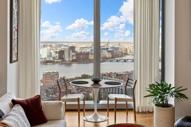 interior space featuring light hardwood / wood-style floors, a water view, and a healthy amount of sunlight