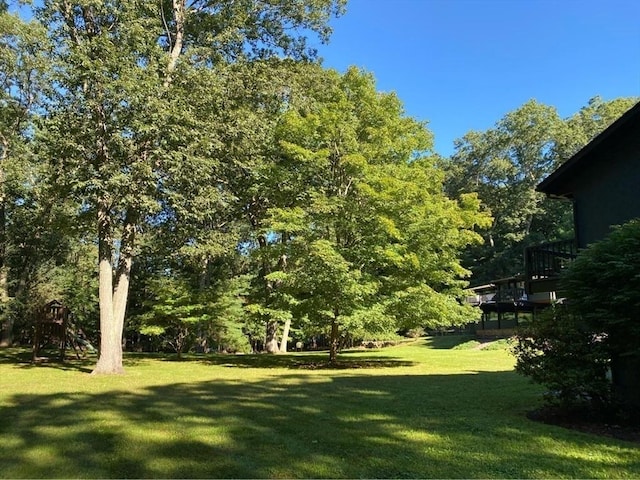 86 Myles Standish Rd, Weston, MA 02493 - view of green lawn