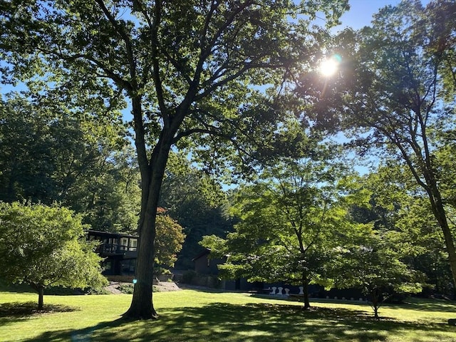 86 Myles Standish Rd, Weston, MA 02493 - view of green lawn