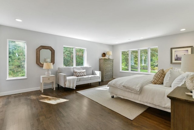 bedroom featuring multiple windows and dark hardwood / wood-style floors