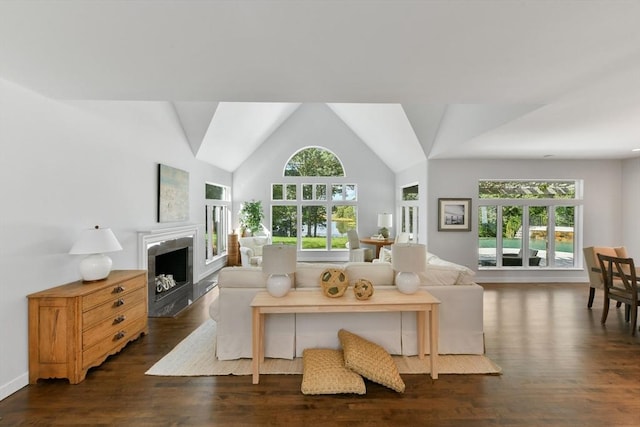 living room featuring vaulted ceiling and dark hardwood / wood-style floors