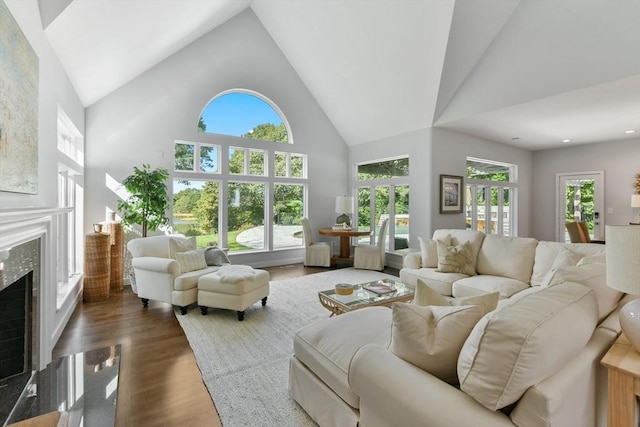 living room with a premium fireplace, high vaulted ceiling, plenty of natural light, and dark wood-type flooring