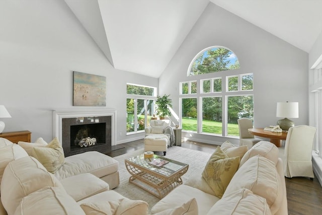 living room featuring a fireplace, high vaulted ceiling, and hardwood / wood-style flooring