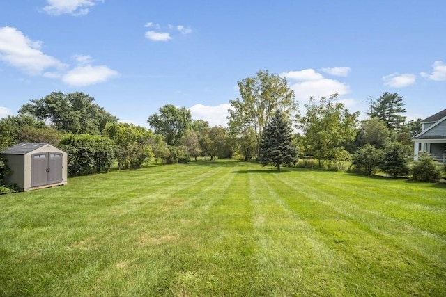 view of yard featuring a shed